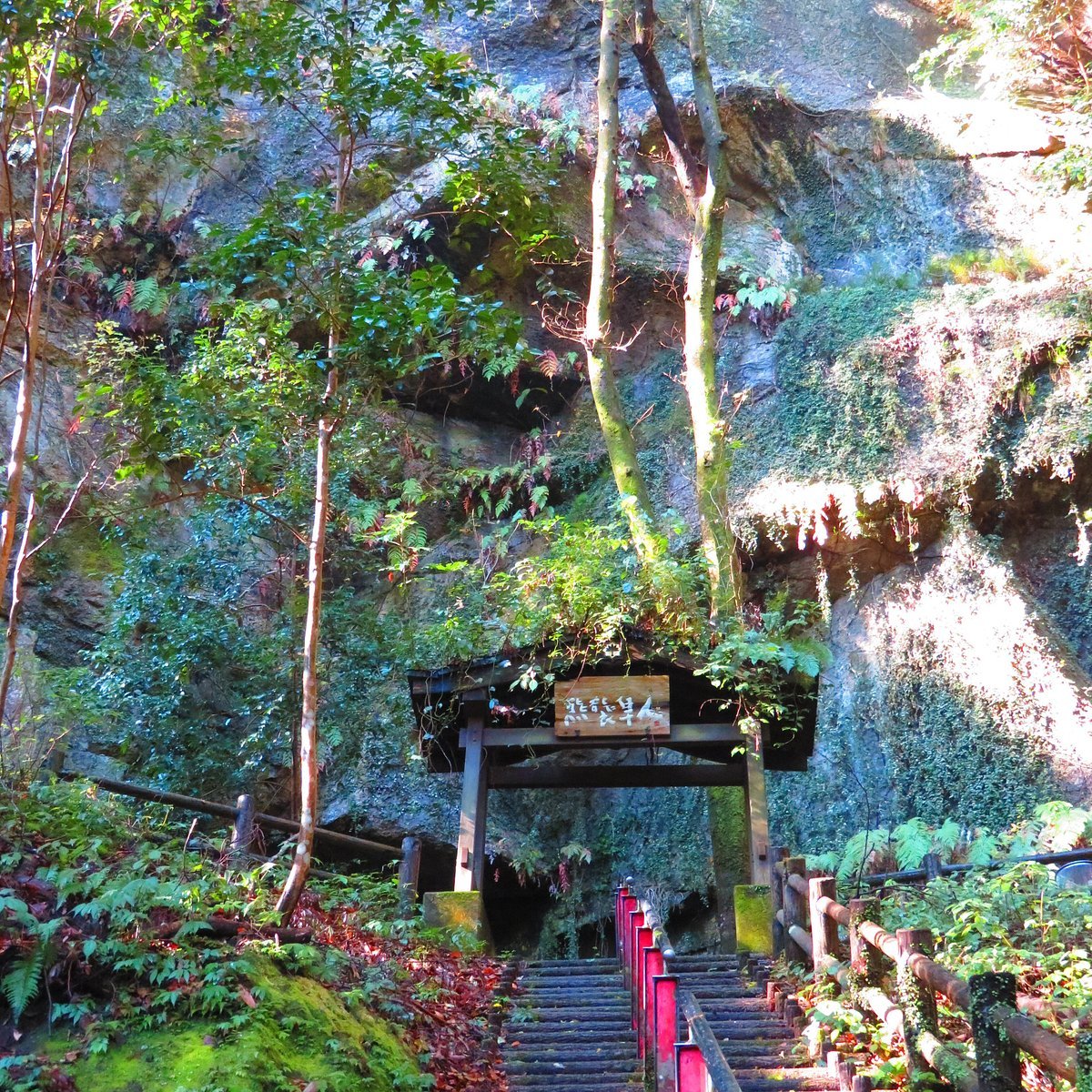 🏞️ 구마소 동굴 (구마소아나) 이미지 5